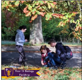 Year 13 Biology Fieldtrip